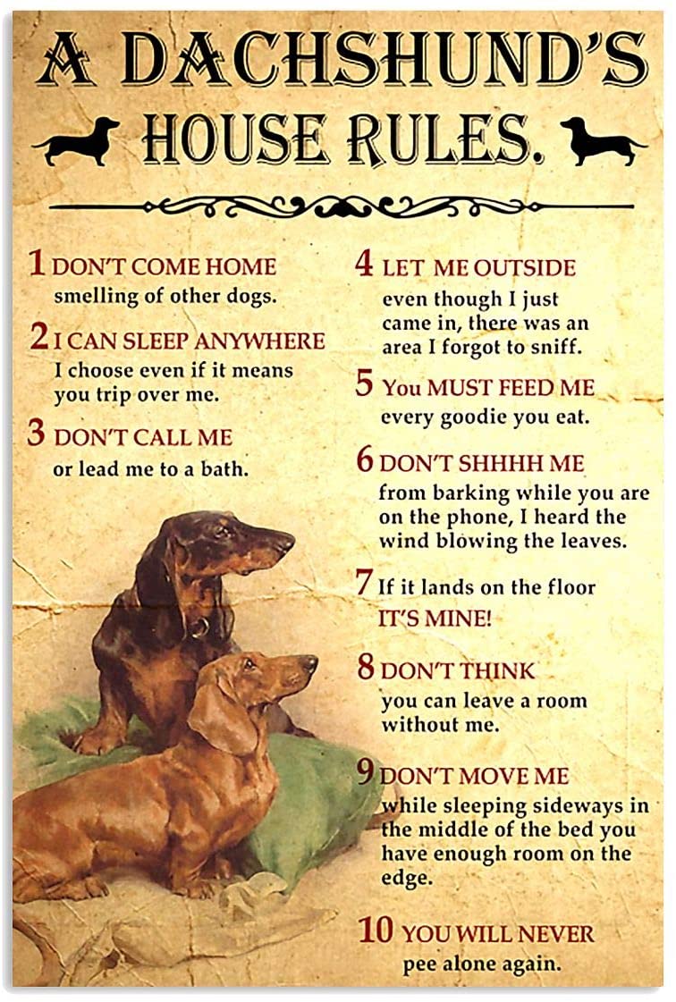 A Dachshund House Rules Dog Lovers Wall Art Decor, Poster print, Wall Art