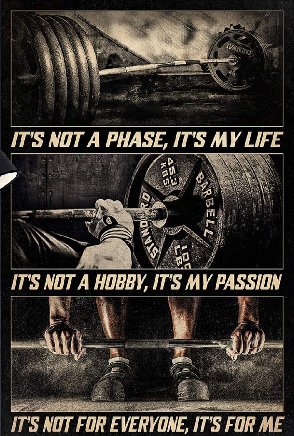 Barbell ItS My Life ItS Not A Phase ItS My Life Gift Idea Poster, Poster print, Wall Art