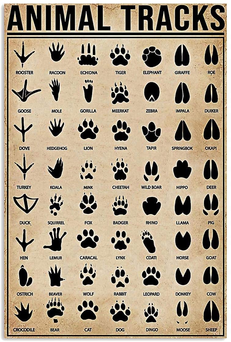 Animal Tracks Vertical Poster Canvas Wall Art Print, Poster print, Wall Art