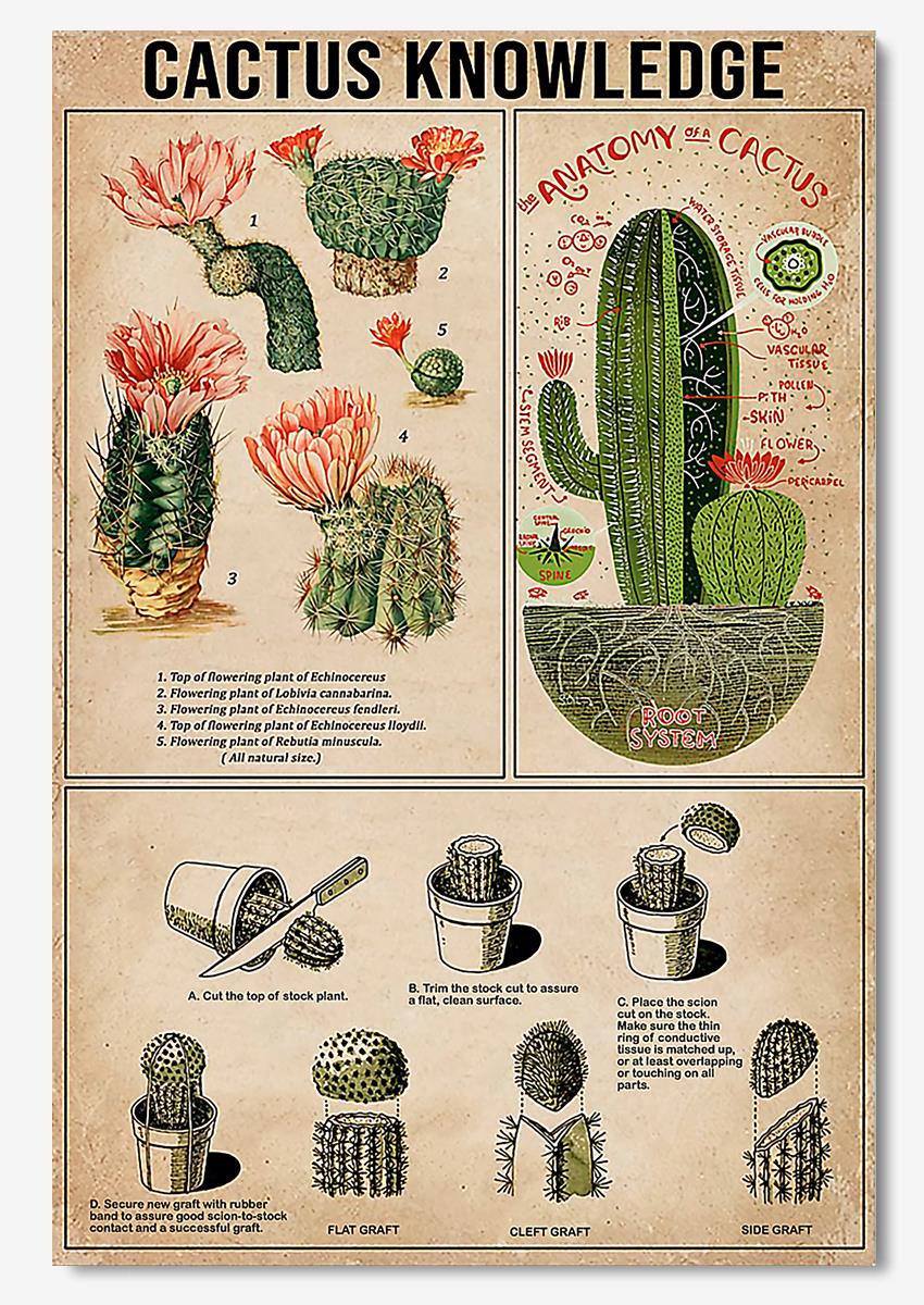 Cactus Knowledge Wall Art For Catus Lover Planter Home Decor Poster, Poster Art Idea, Wall Art Idea