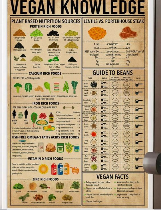 Vegan Knowledge Poster N304, Retro Poster, Vintage Poster