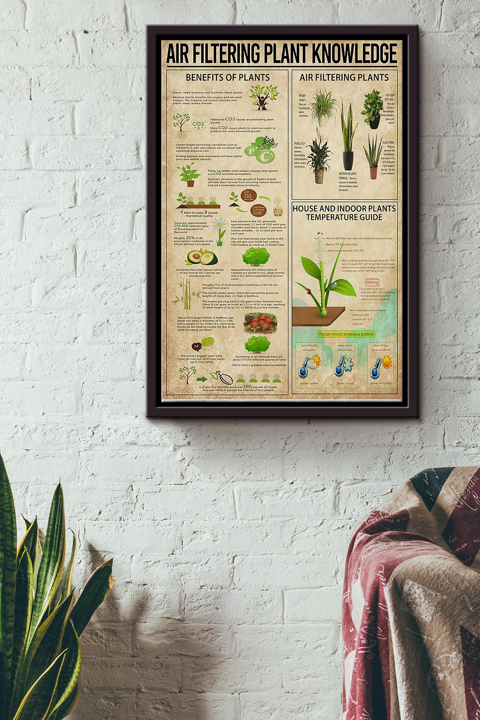 Air Filtering Plant Knowledge Things You Need To Know About Air Filtering Plant Gardening Poster Poster, Poster print, Wall Art