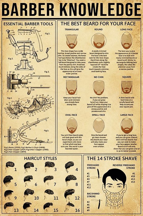 Barber Knowledge Poster