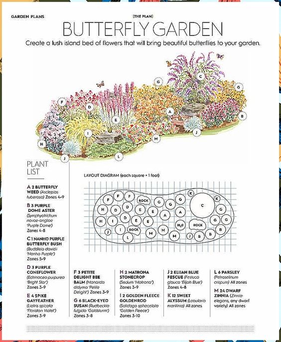 Butterfly Garden Poster