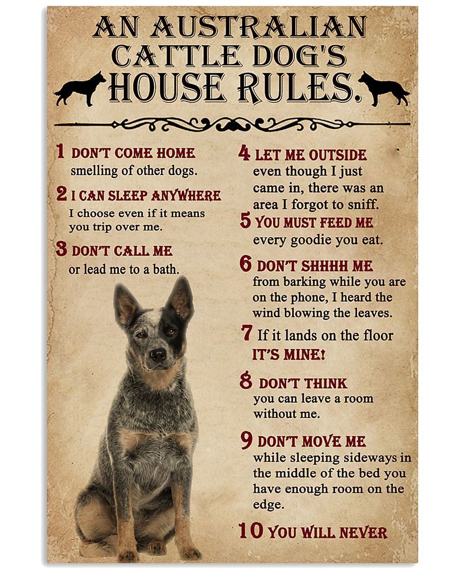 An Australian Cattle Dogs House Rules Gift For Dog Lovers Vertical Poster, Poster print, Wall Art