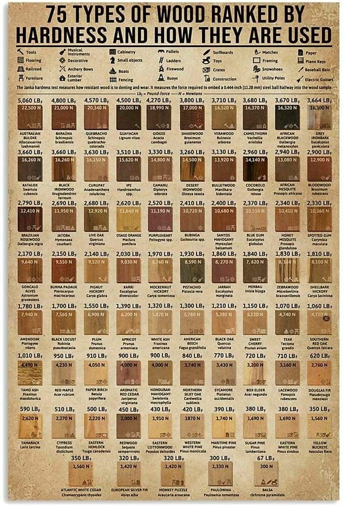 75 Types Of Wood Ranked By Hardness And How They Are Used Guide Carpenter Knowledge Poster, Canvas, Poster print, Wall Art