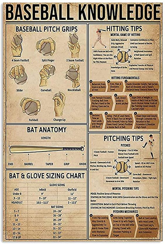 Baseball Knowledge Poster