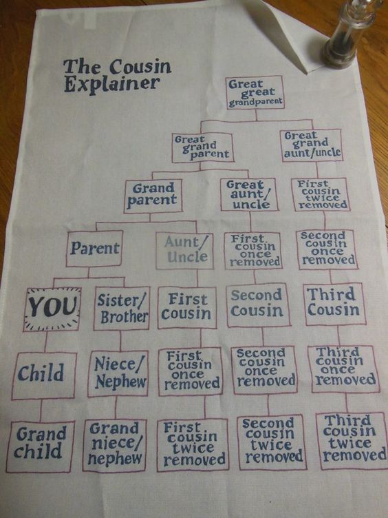 The Cousin Explainer Poster