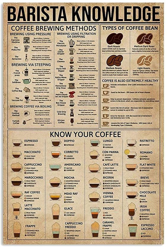 Barista Knowledge Poster n304, Retro Poster, Vintage Poster