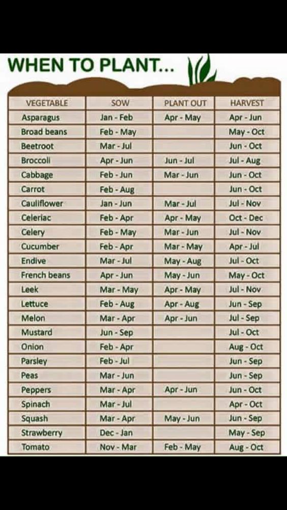 When To Plant Poster