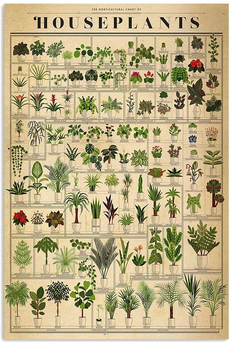 The Horticultural Chart of Houseplants Gardening Funny Plant Vertical Poster Canvas Art, Poster print, Wall Art