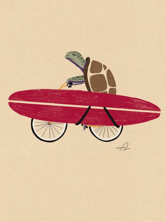 A Turtle Riding A Bike Canvas Art Fabian Lavater Poster