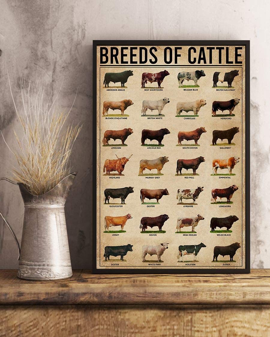 Breeds Of Cattle Poster, Poster Art Idea, Wall Art Idea