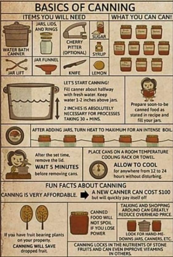 Basics Of Canning Poster