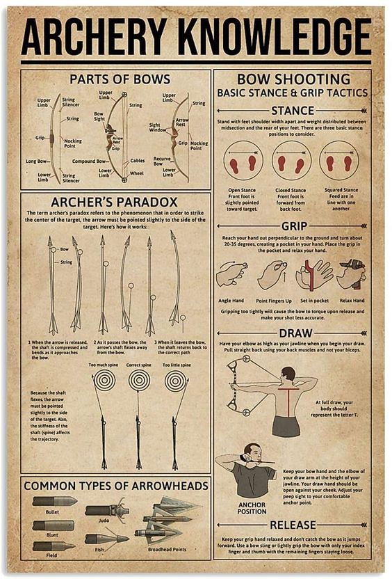 Archery Knowledge Poster